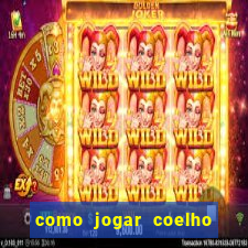 como jogar coelho da fortuna